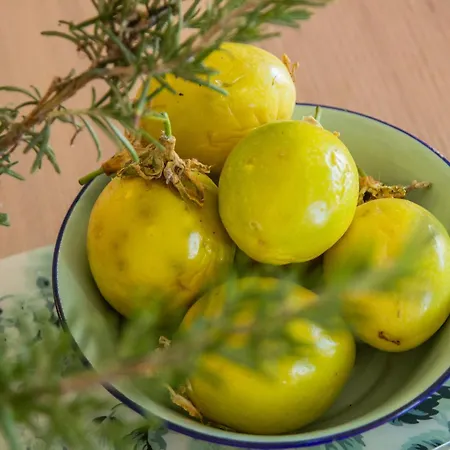 Apartamento Eco Casa Salitre,montana, Campo Y Playa