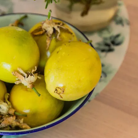 Apartamento Eco Casa Salitre,montana, Campo Y Playa *