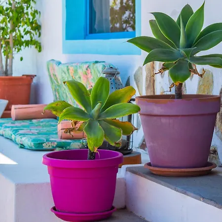 Eco Casa Salitre,montana, Campo Y Playa 公寓 *