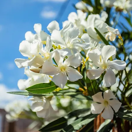 公寓 Eco Casa Salitre,montana, Campo Y Playa Tabayesco