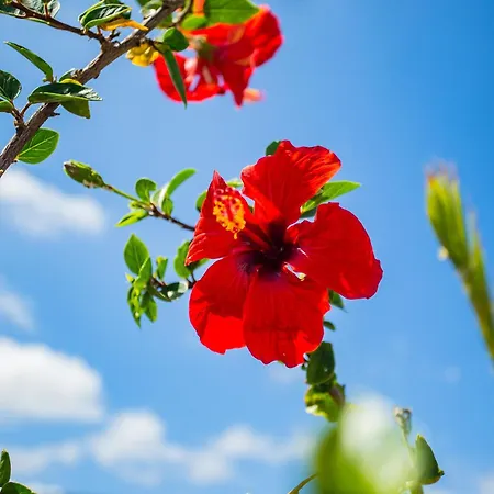 公寓 Eco Casa Salitre,montana, Campo Y Playa Tabayesco