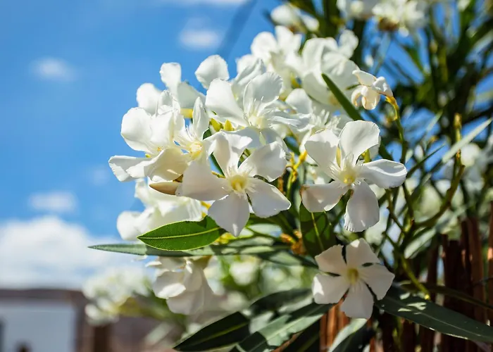 Apartment Eco Casa Salitre,montana, Campo Y Playa Tabayesco