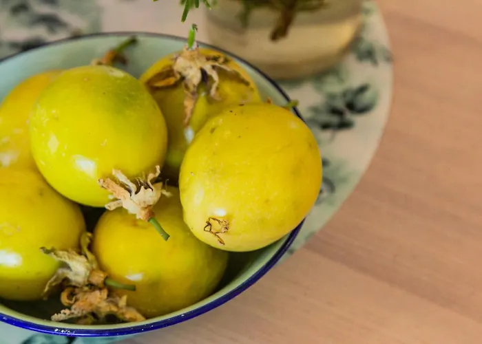 Apartment Eco Casa Salitre,montana, Campo Y Playa *