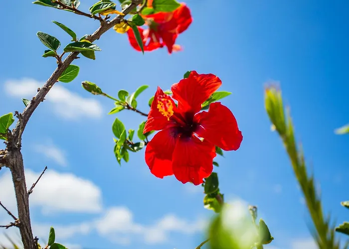 Apartment Eco Casa Salitre,montana, Campo Y Playa Tabayesco